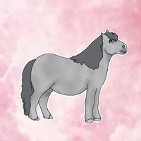 skye_equestriann