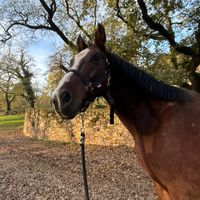 elise_2343
