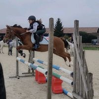 aurliefebrer