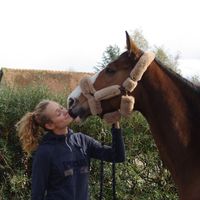 goldea_harmony