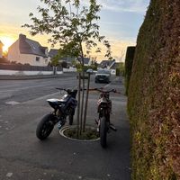dydylulu22