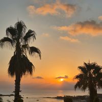 sunet original