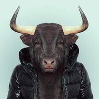 guner8115