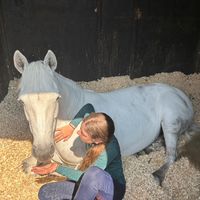 my_2_mares