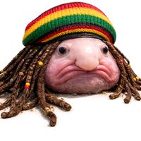jonhkong3