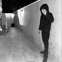 nico_prr13