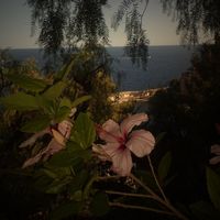 sunet original