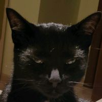 poogiereq007