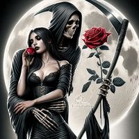 tarot_star79