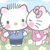 hello233477