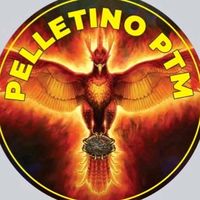 peletitimisoara