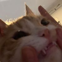 mighex_23