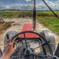thijs_956