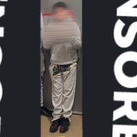 a1ptrnn