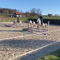 jump.rider
