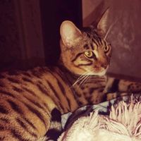 ljowa.arhipov