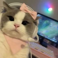 bina.bruja