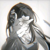 n1ght_0wle