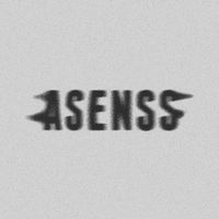 asenss.records