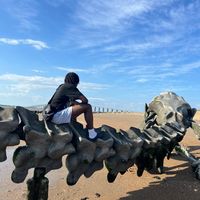 enzo_ltqr