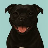 staffyforest