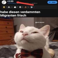 Originalton