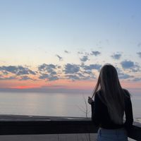 vinetasspam