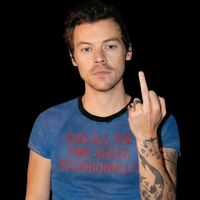 mainlyharrystyles