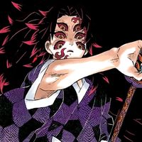 sanemishinazugawa_89