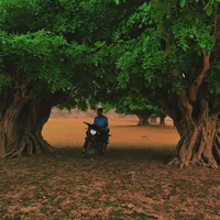 original sound - unknownn_tamim