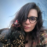 la.poule.paysanne