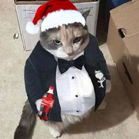 dr.zeexy