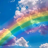 paulinealyciacowenmlc