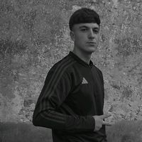 zuco_stefan