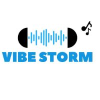 vibeestormm