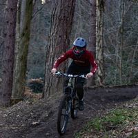 lewishortin_74
