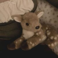 miffyishh