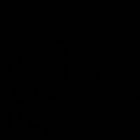 sumaila_19
