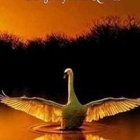 priska_lostplacelive