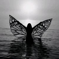 anima_oltre