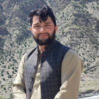 hamzajan5022