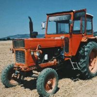 cristi.1628