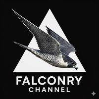 falconrychannel