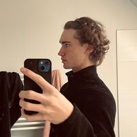 vlnraphael