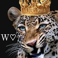 wafaa12345.4