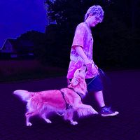 discdogdance