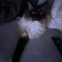 _olivia1111