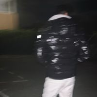 licu_29