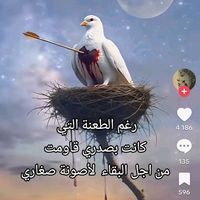 ghizlane.eddrouic