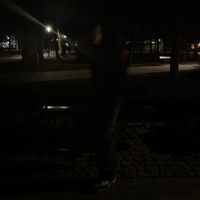 wholeszymo